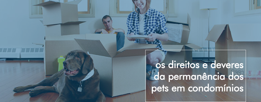 Padronizar a fachada é uma boa!!!